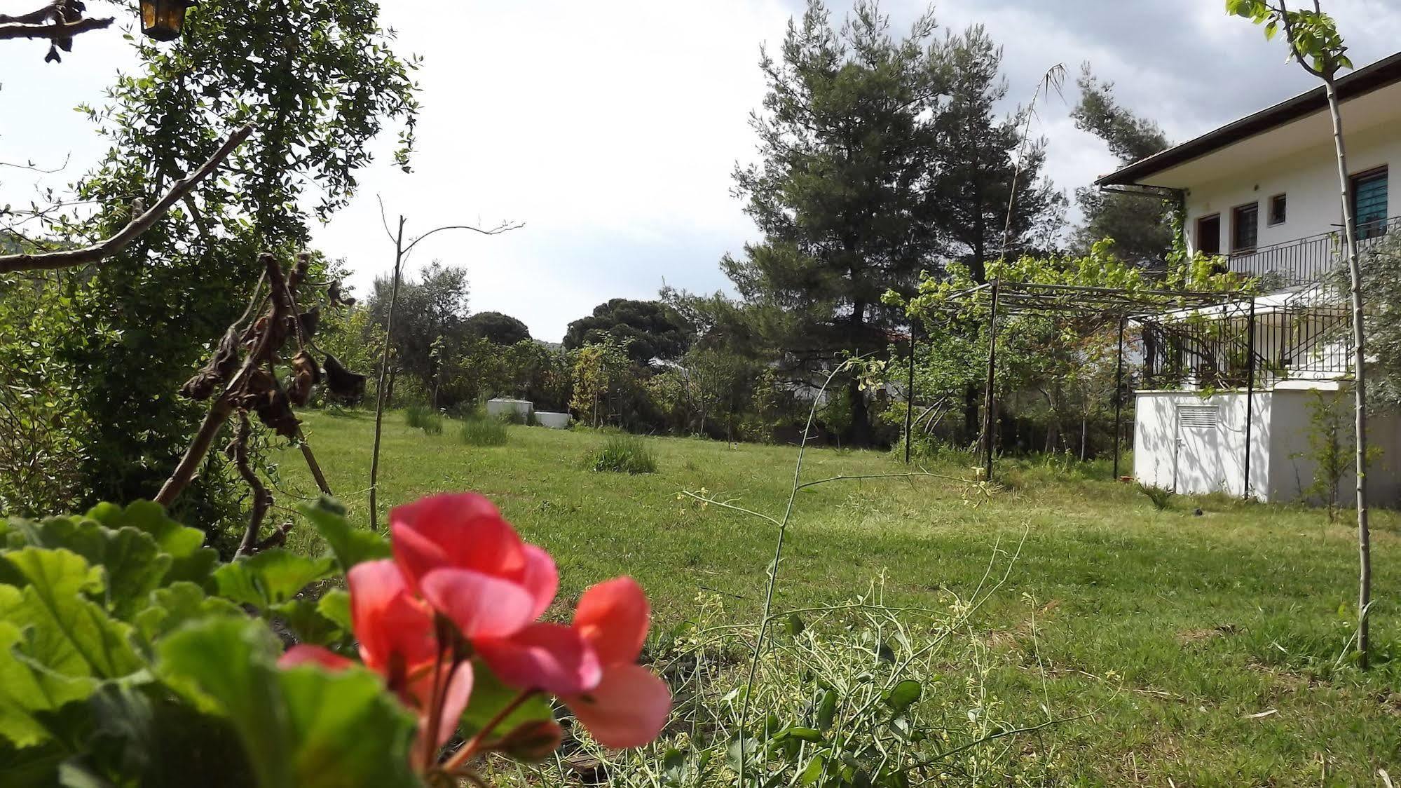 Pefka Studios & Apartments Chalkidiki Ngoại thất bức ảnh